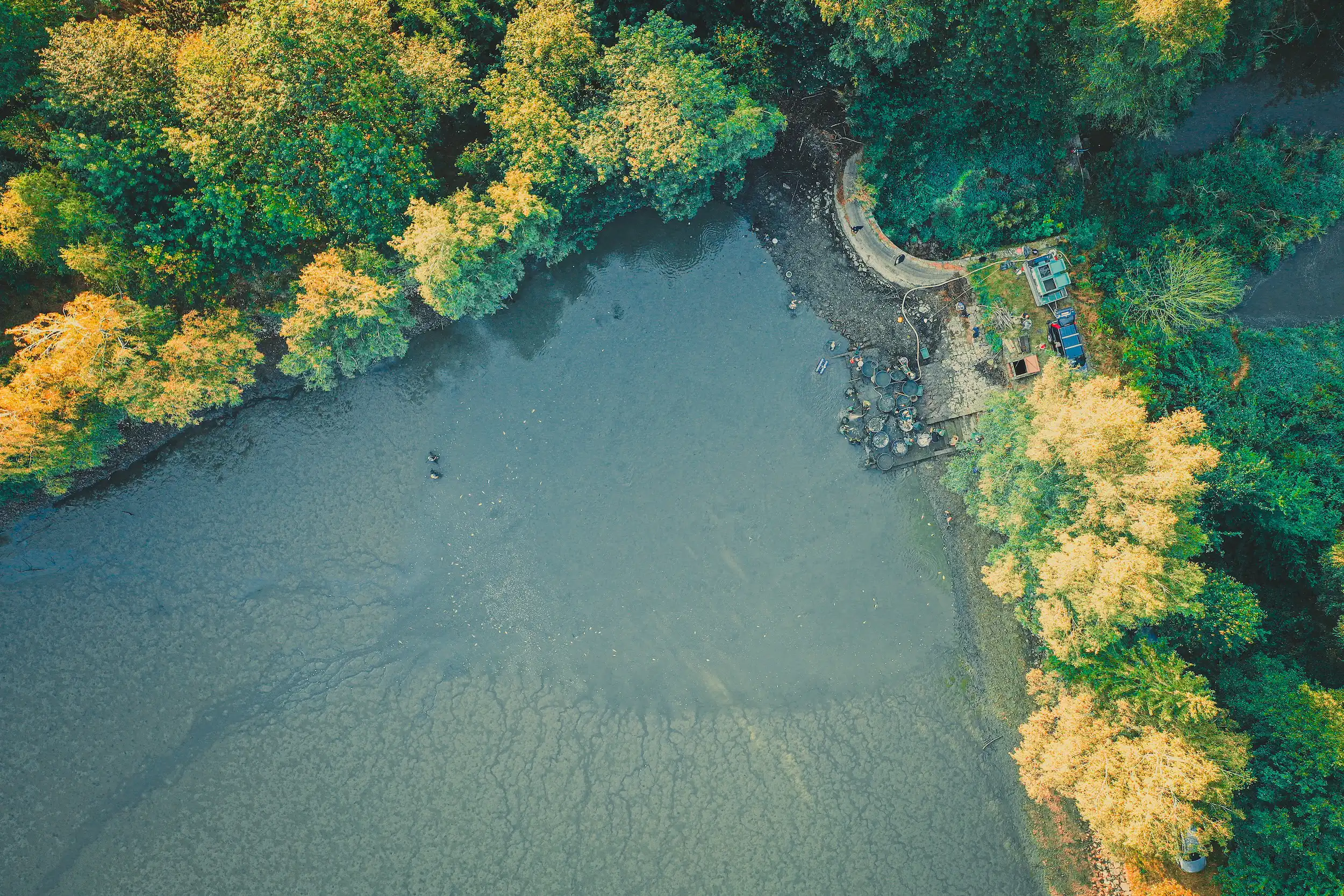 Rybník Polovec – Rybáři Měřín