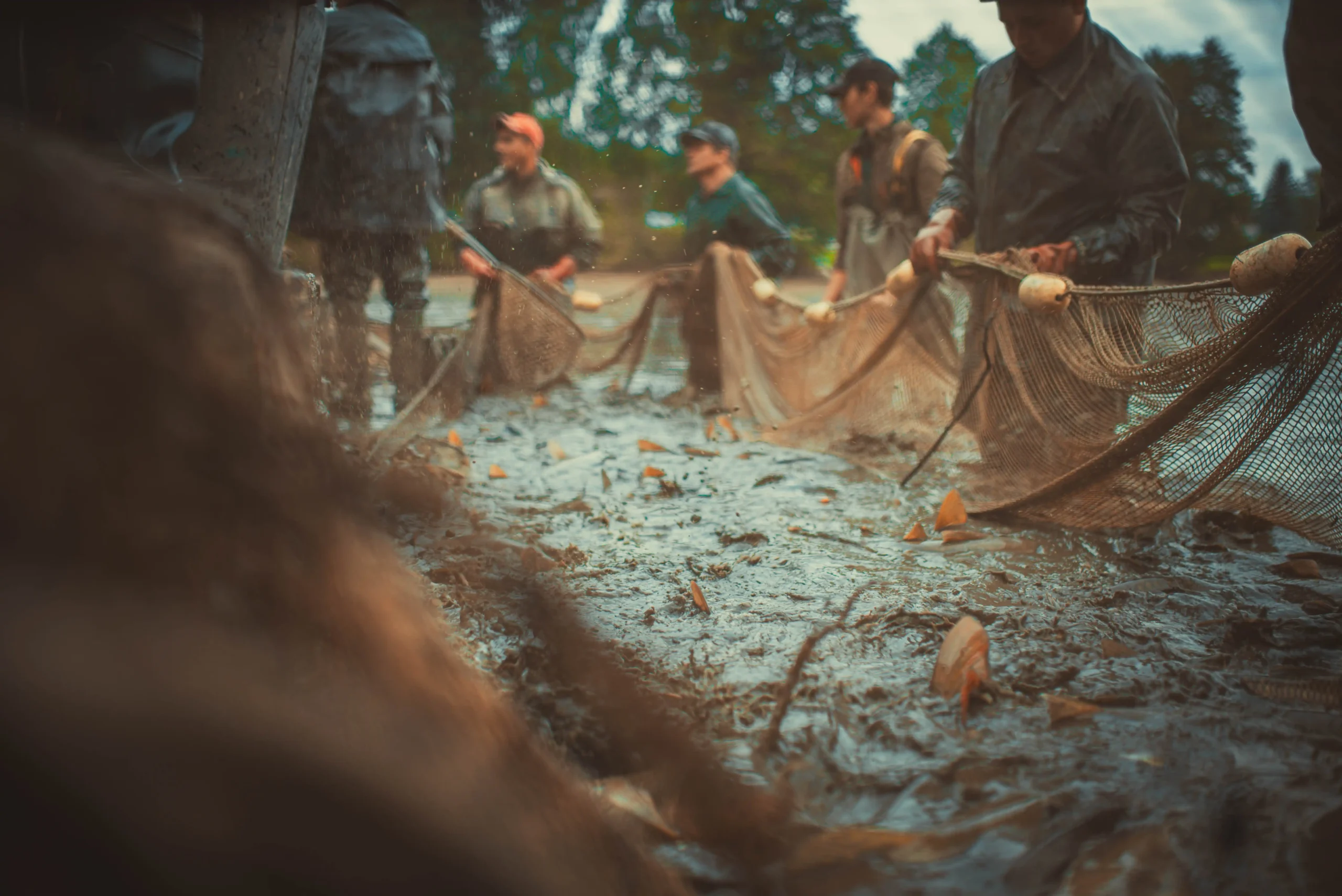 Rybník Polovec – Rybáři Měřín