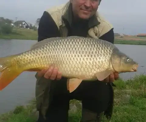 Jaroslav Doležal, Lubomír Buchta