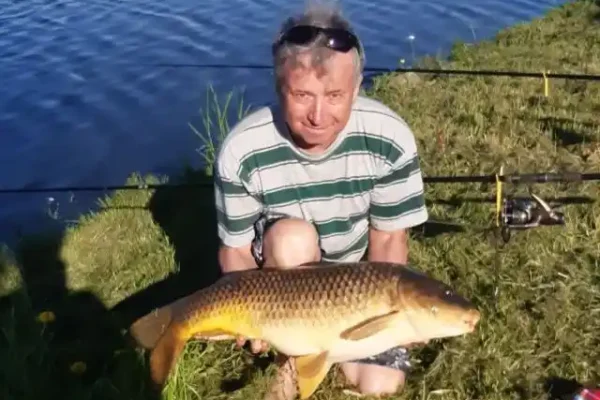 Kapr šupináč