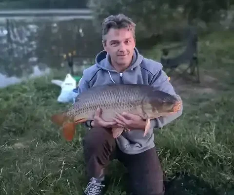 Kapr šupináč